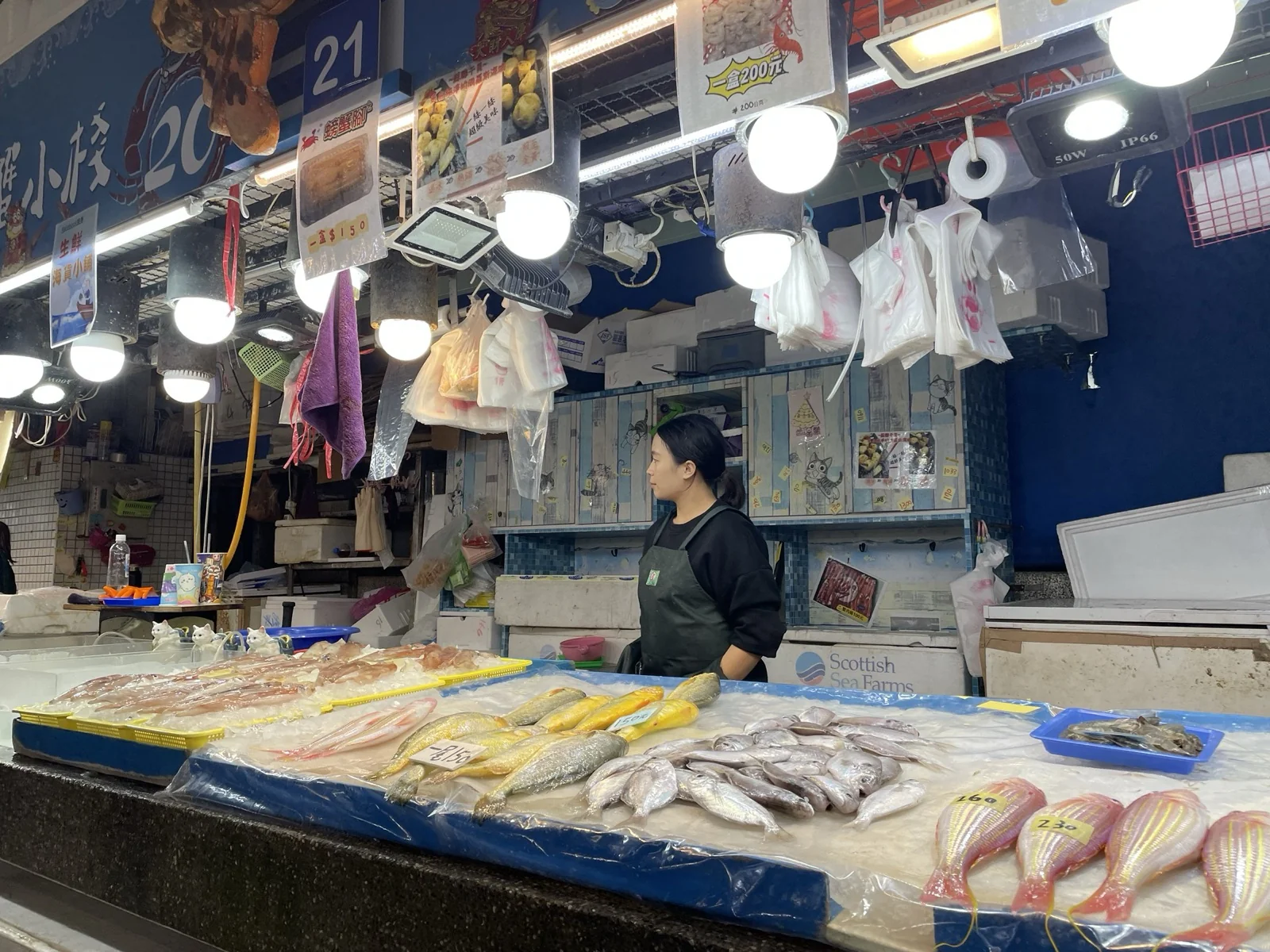 蚵仔寮觀光魚市-魚販