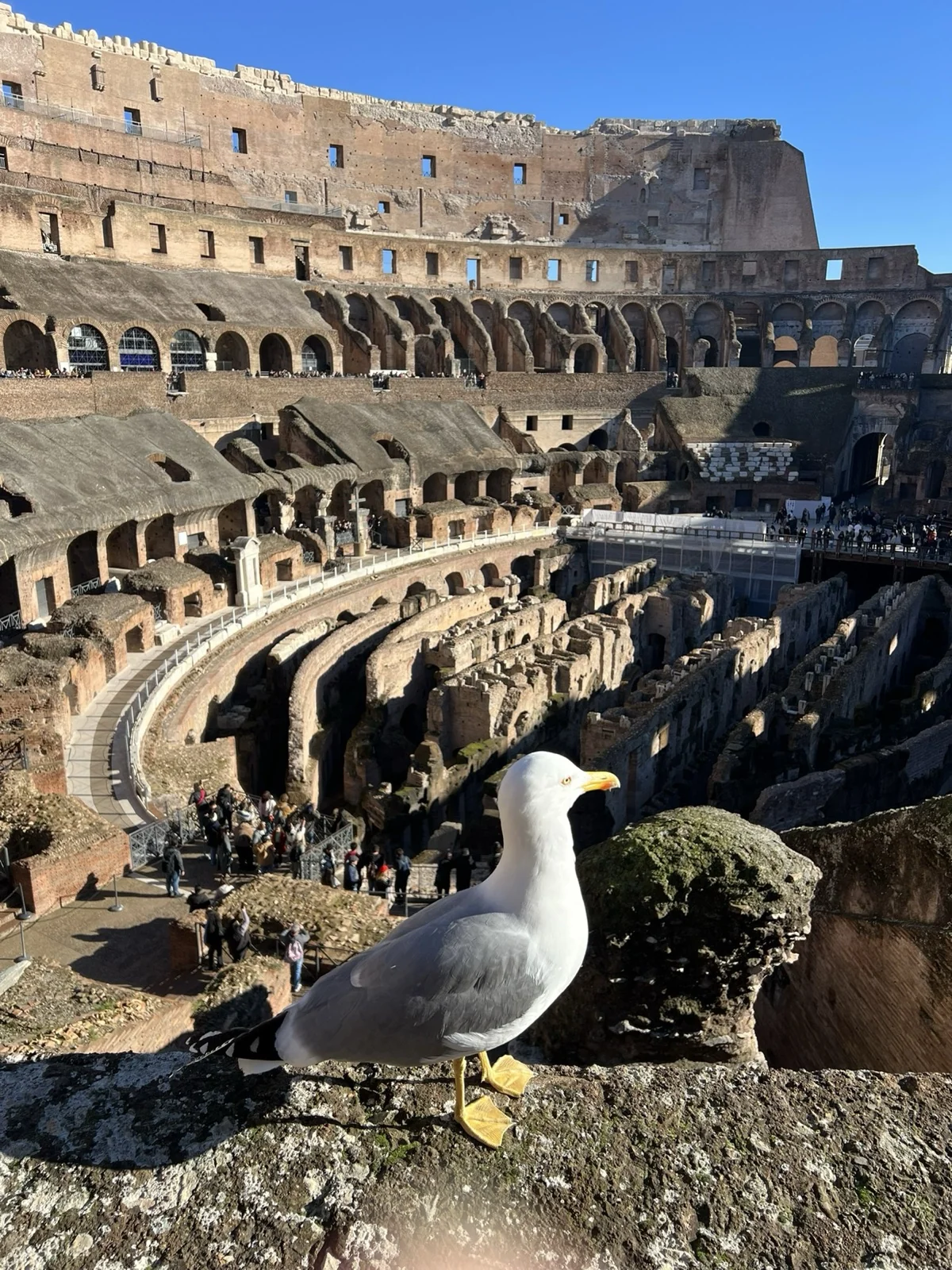 羅馬競技場 Colosseo
