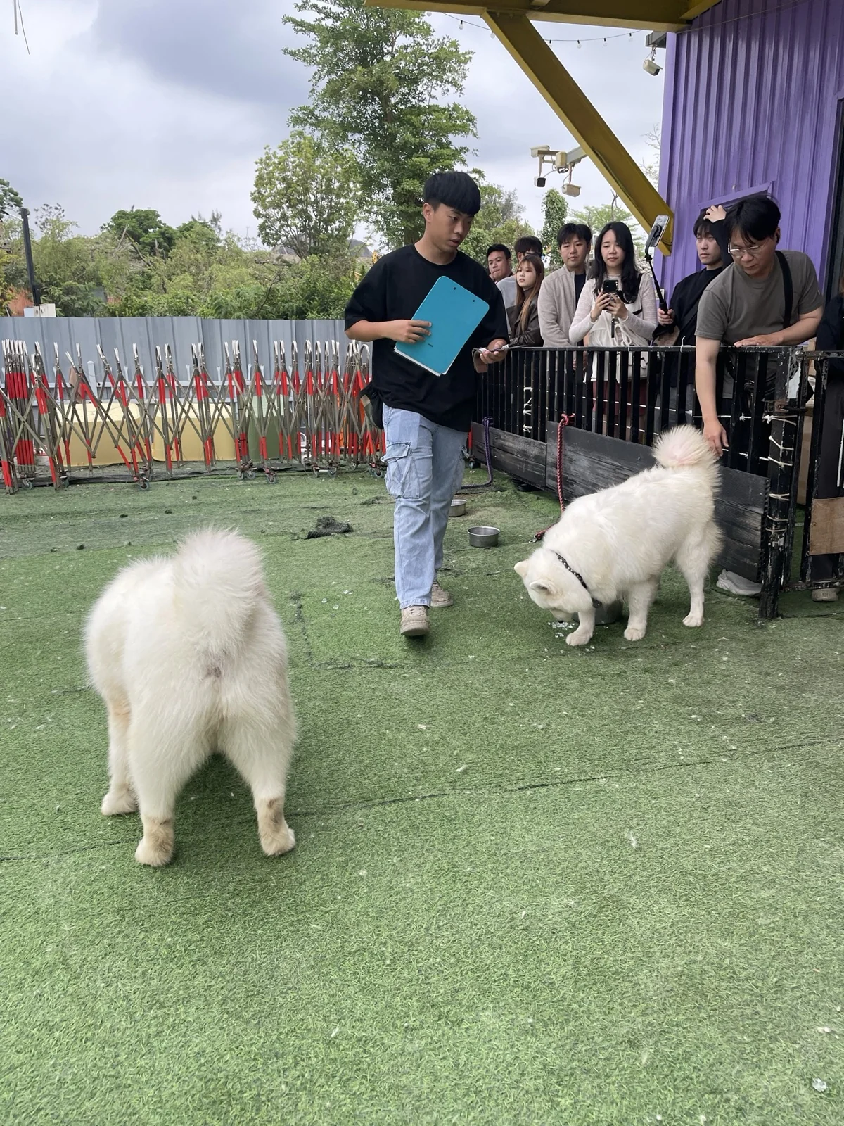 微笑白雲_入口排隊