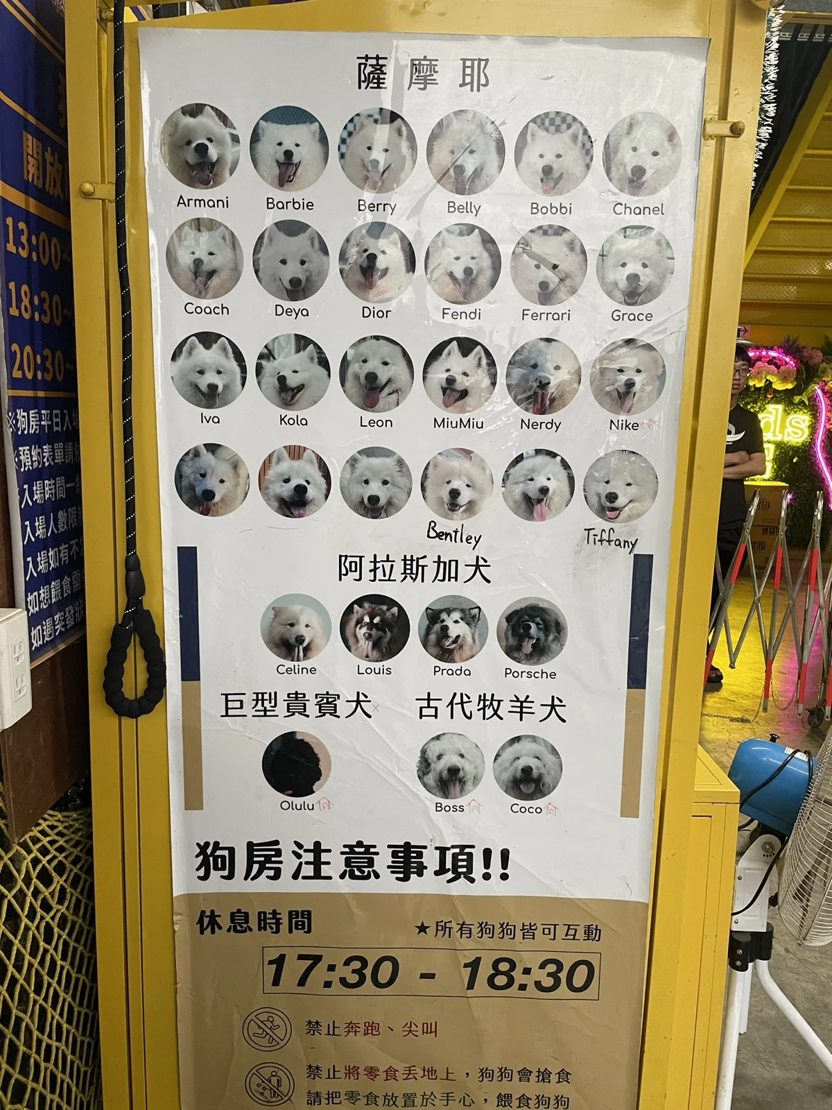 微笑白雲_狗房