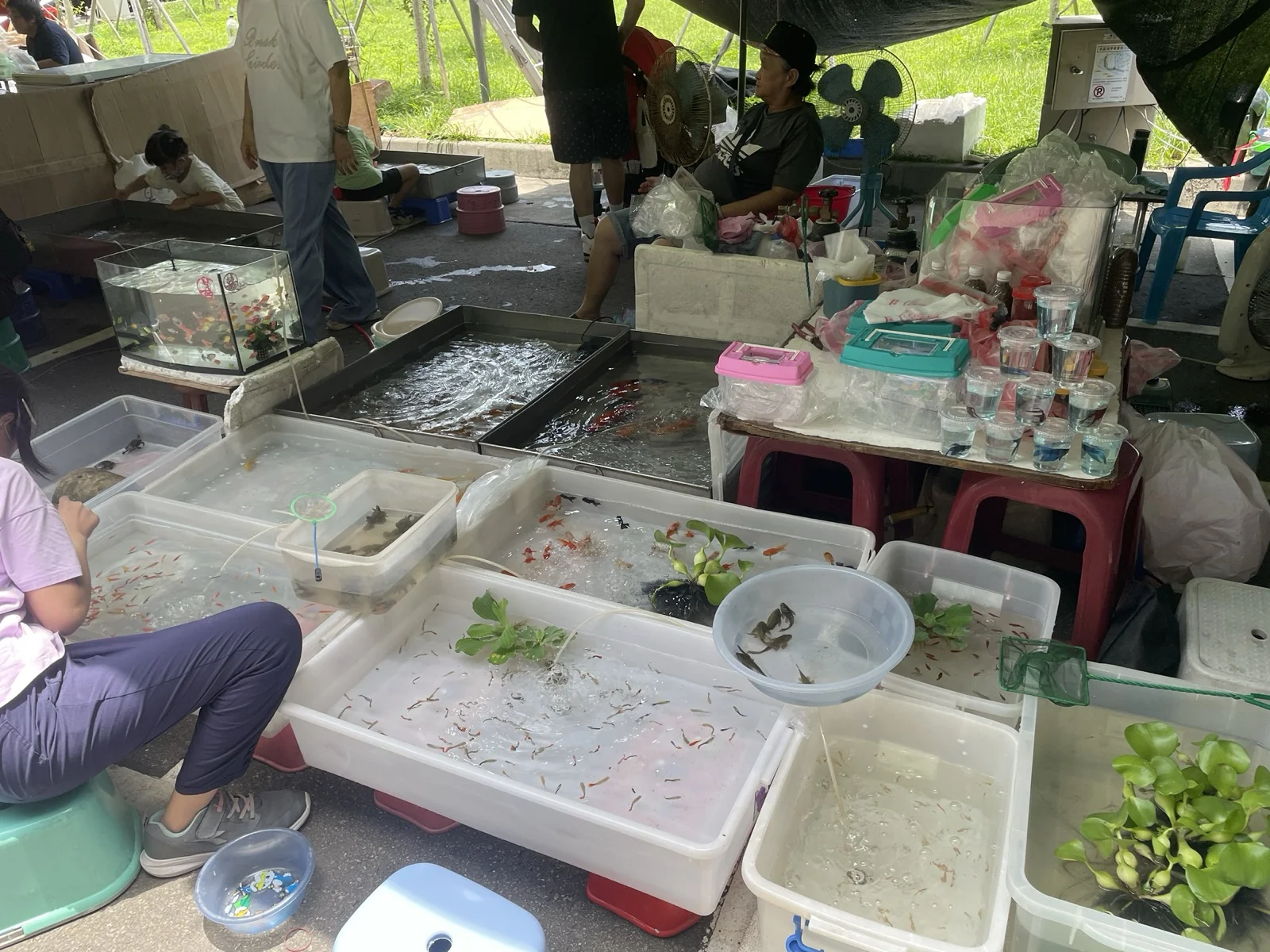 撈魚
