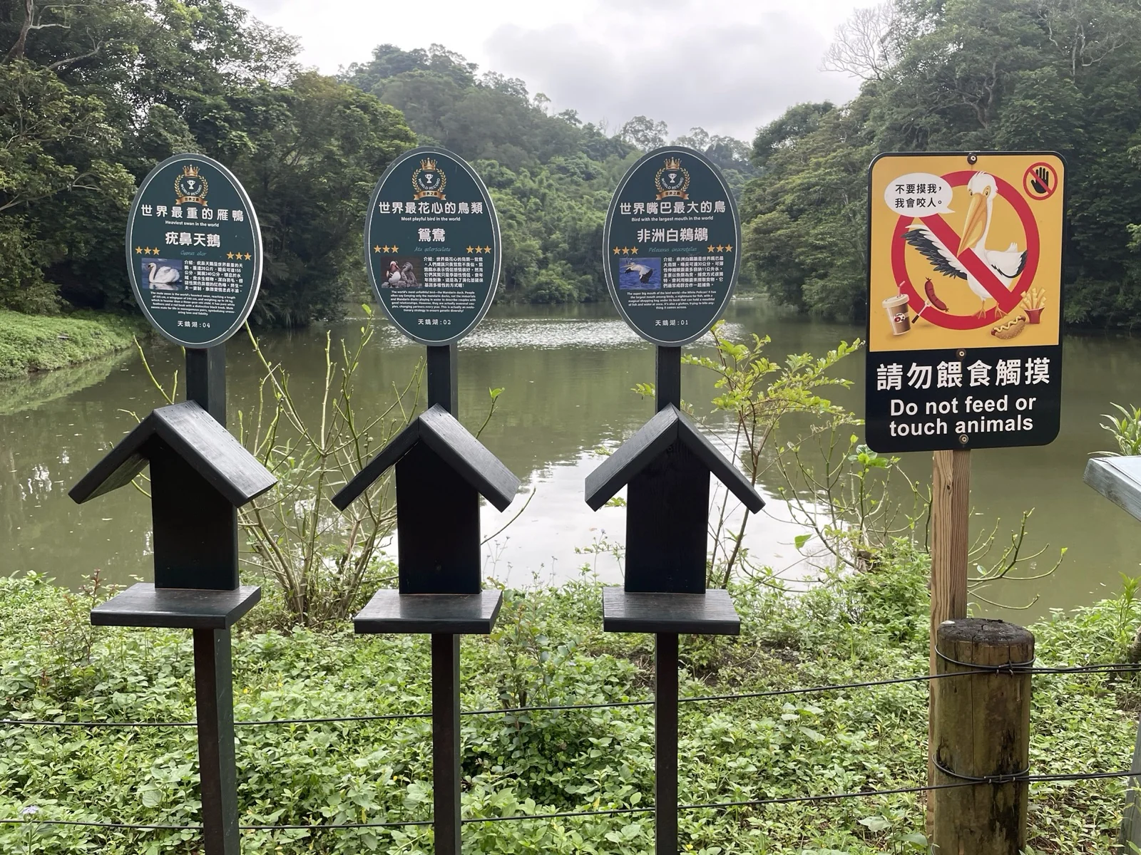 園區鳥類