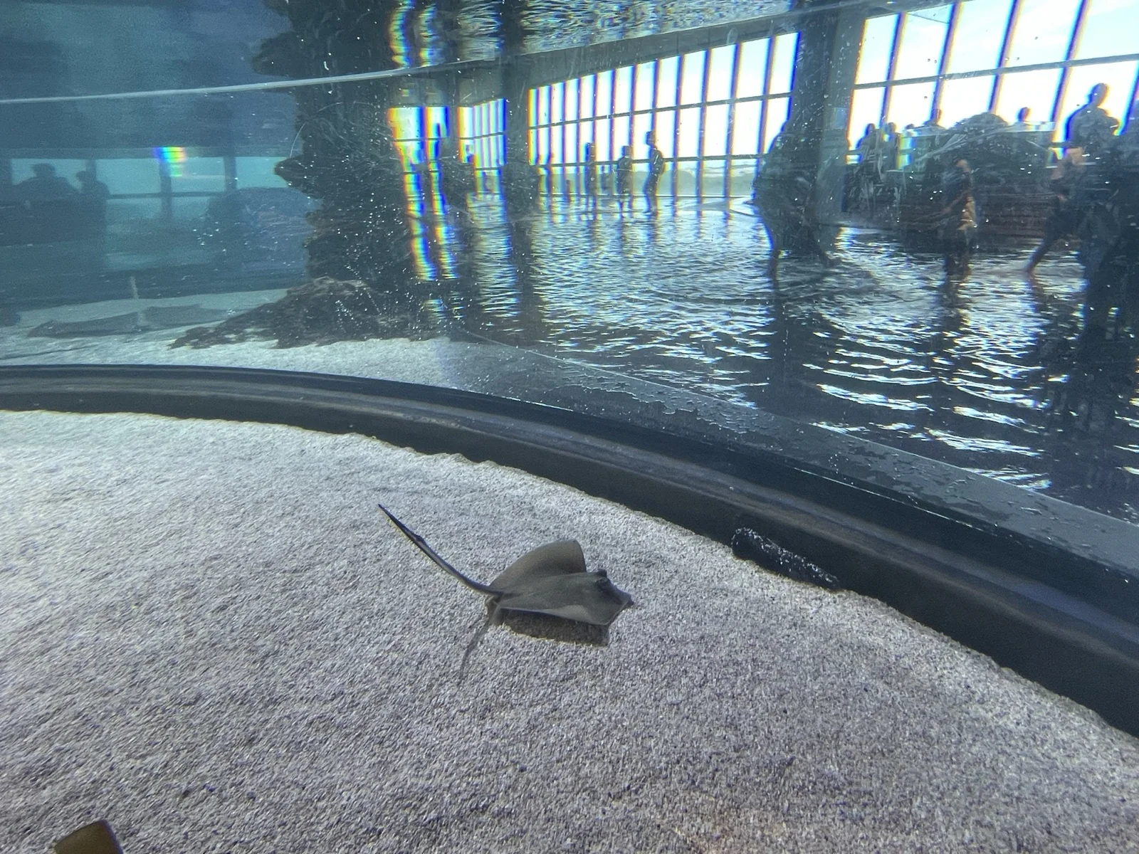 台中海洋館