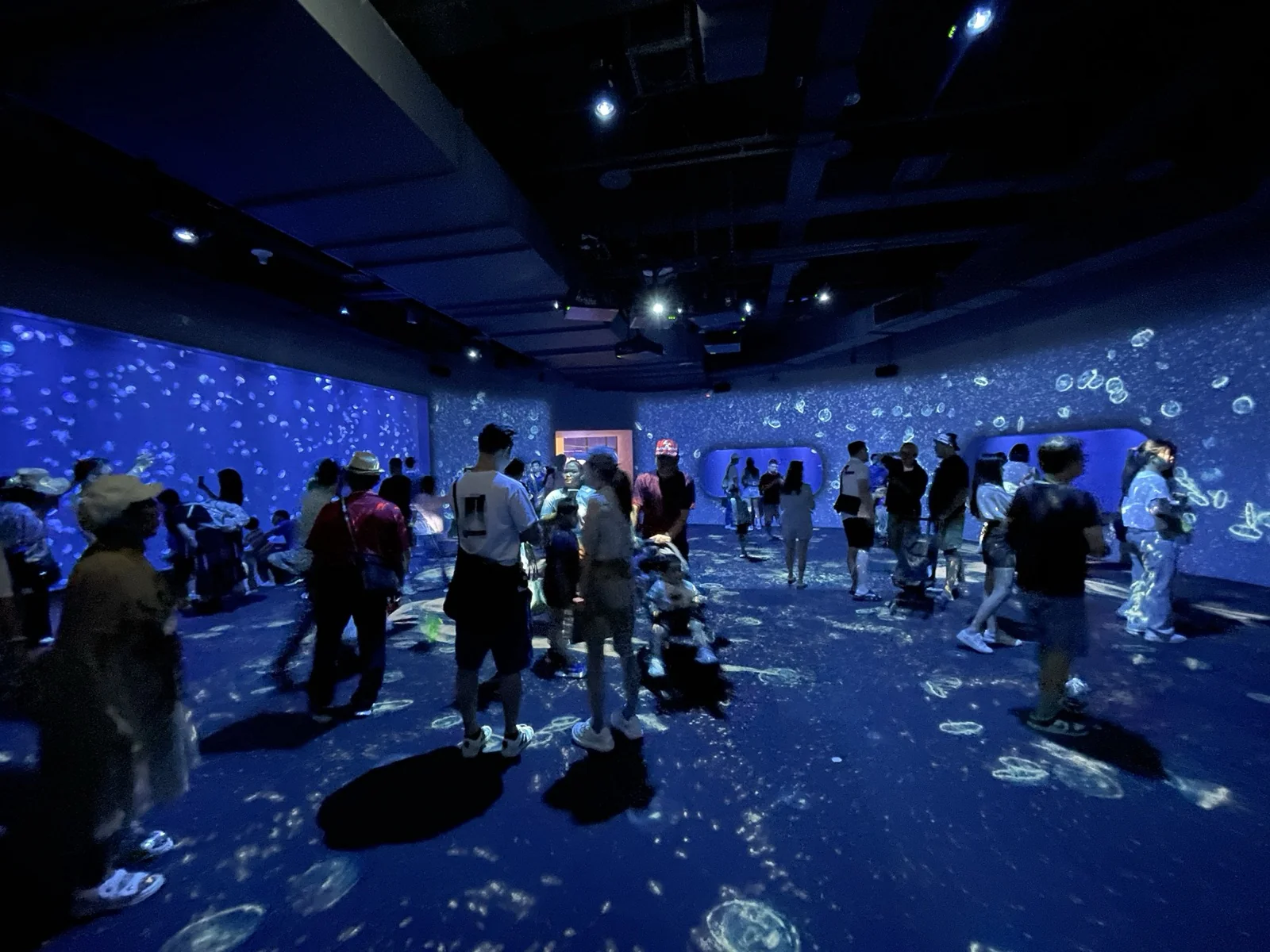 台中海洋館