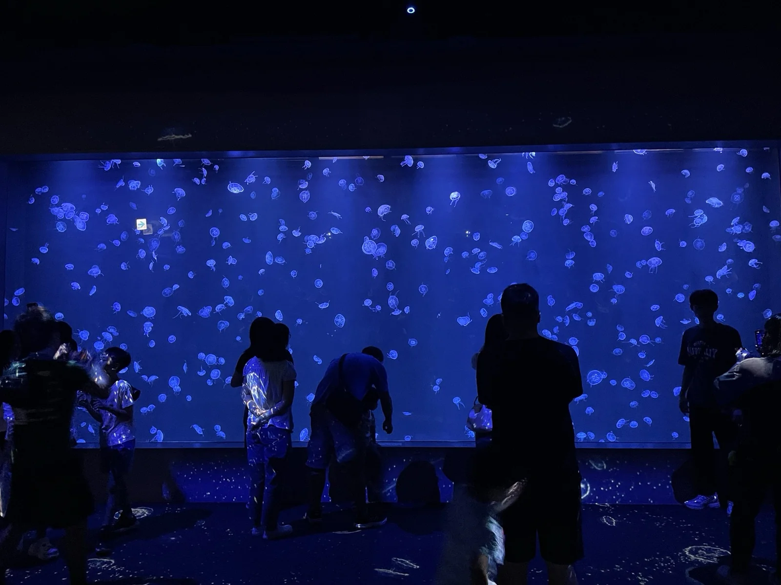 台中海洋館
