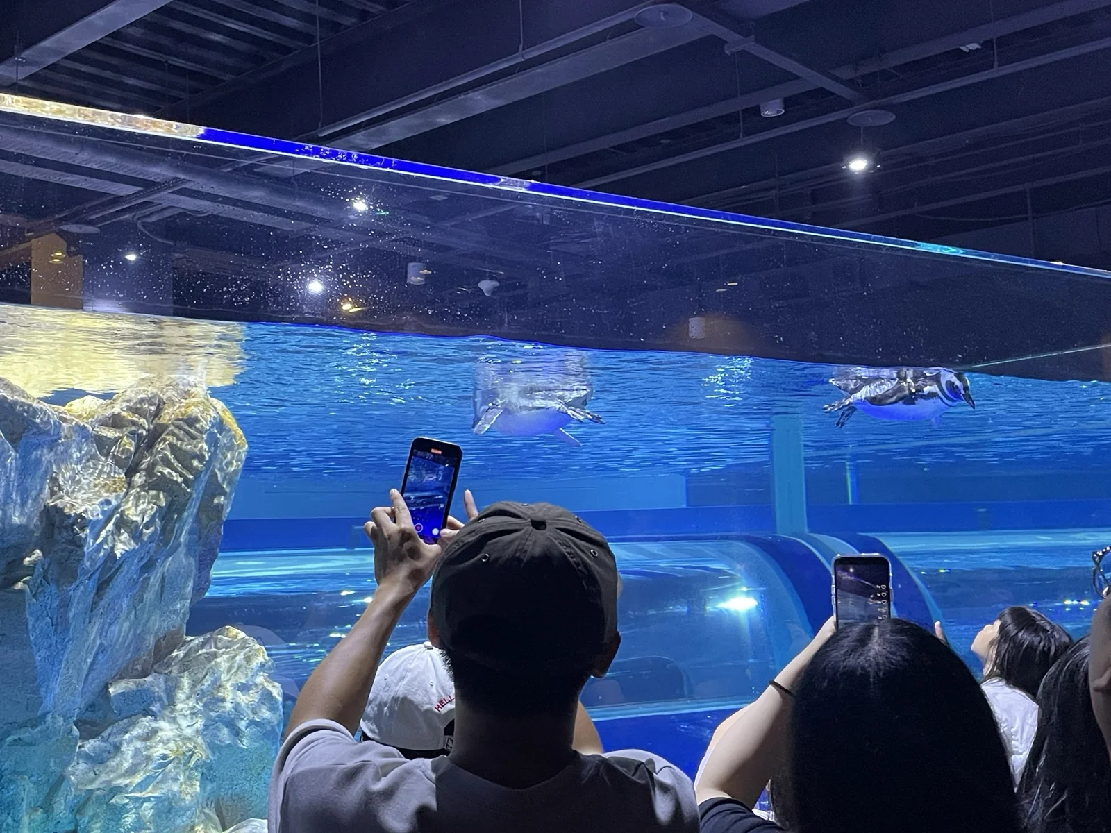 台中海洋館