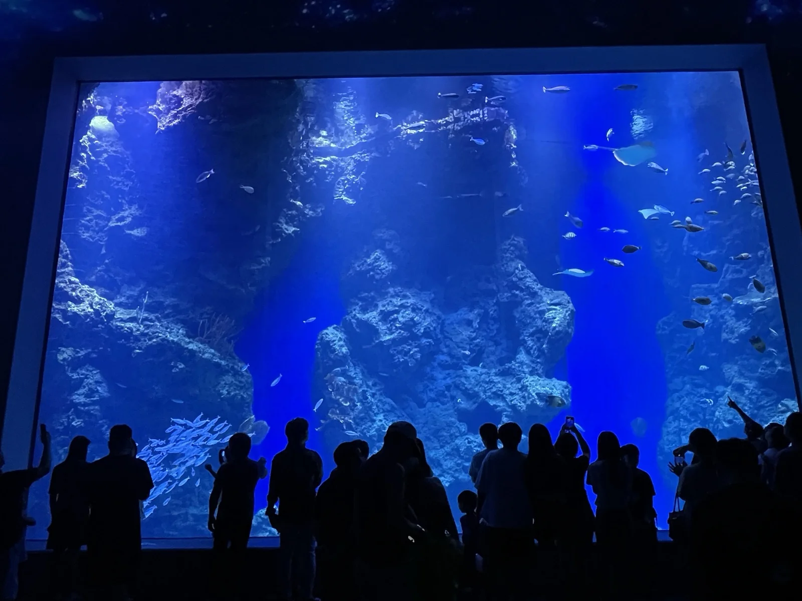 台中海洋館