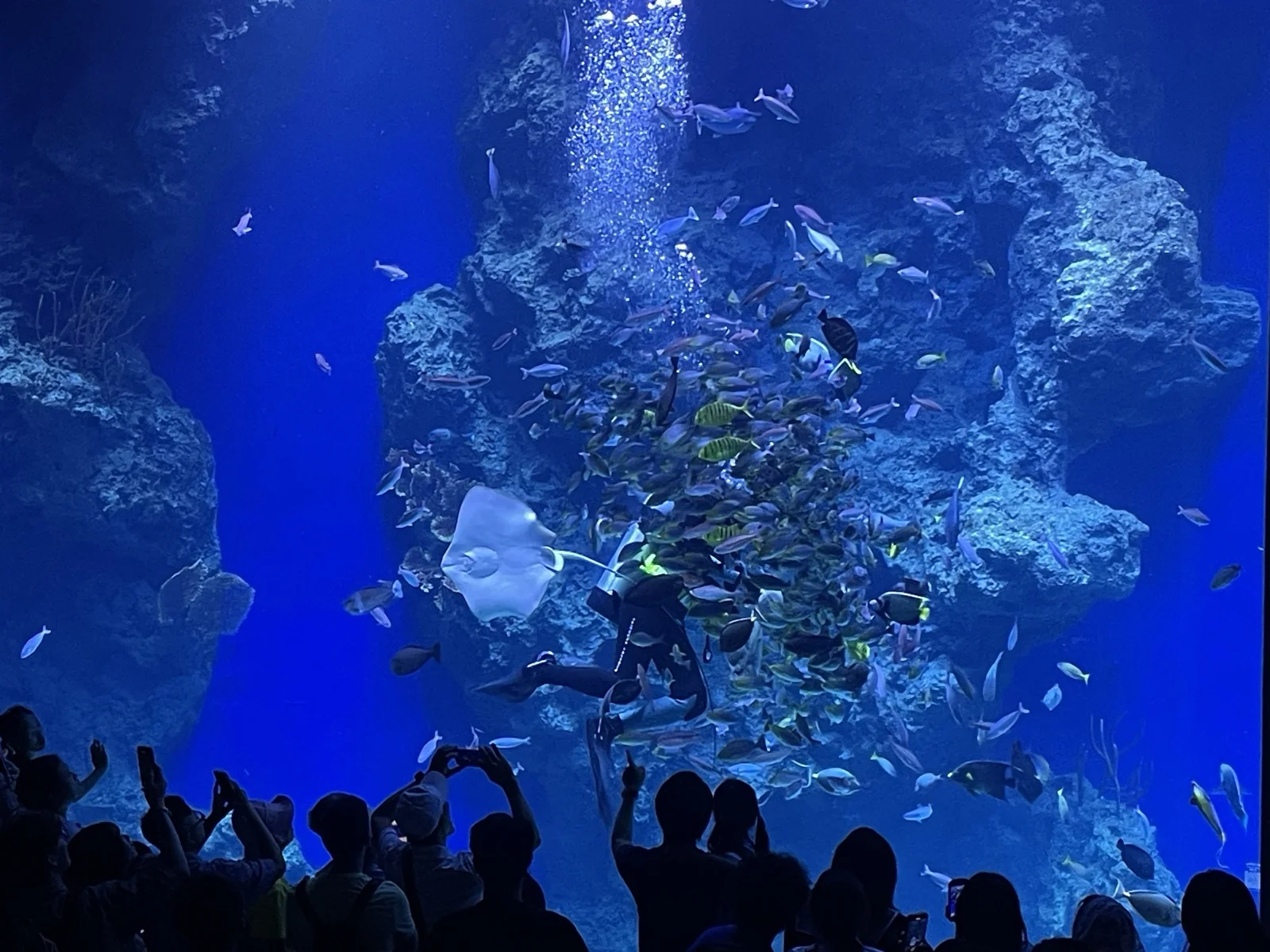台中海洋館