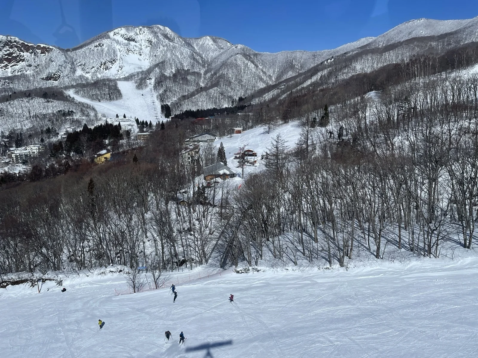 藏王樹冰