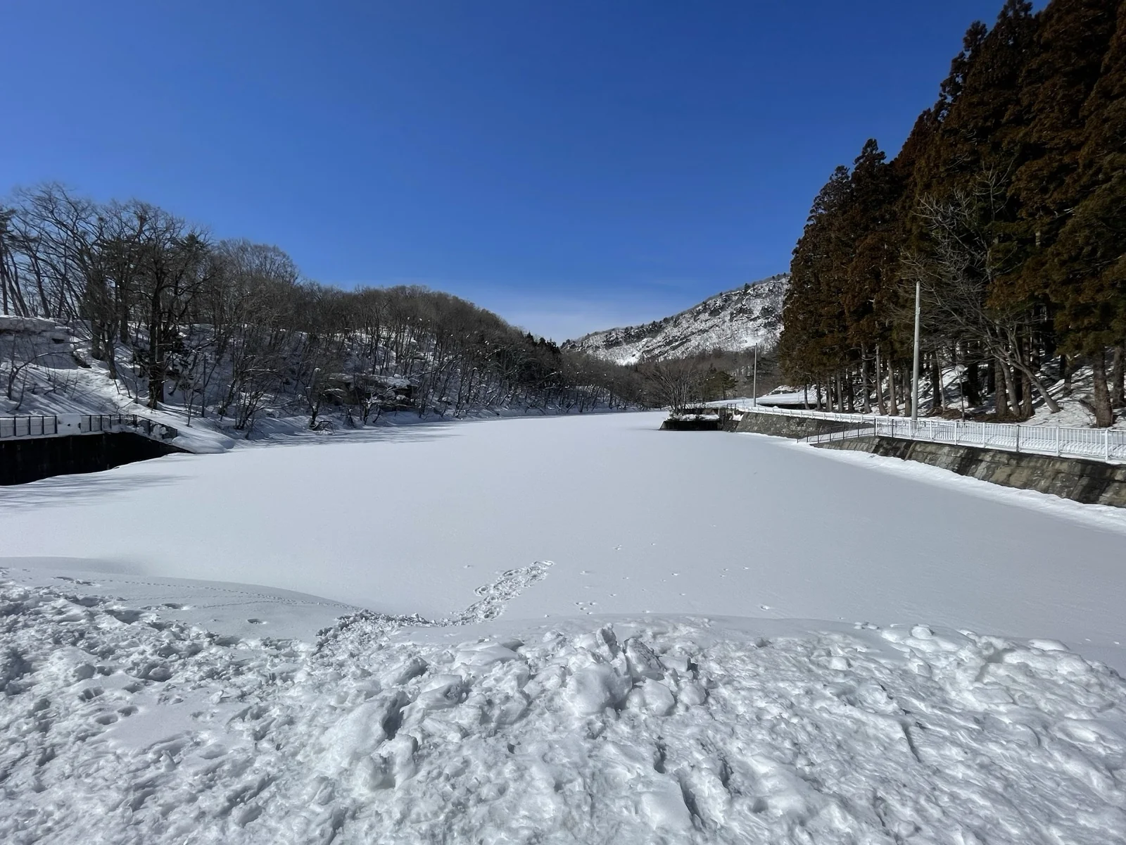 藏王樹冰